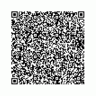 vCard 73833050399