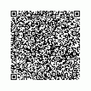 vCard 73833211195