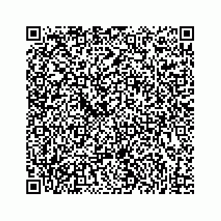 vCard 73833277753