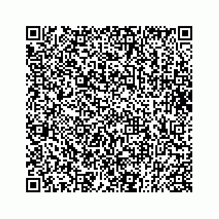 vCard 73833277760