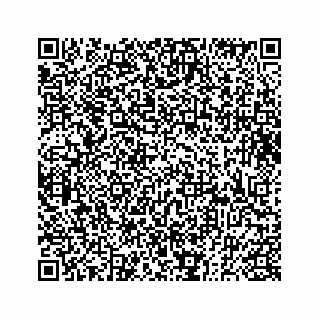 vCard 73833300001