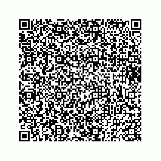 vCard 73833300003