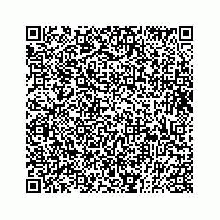 vCard 73833300008