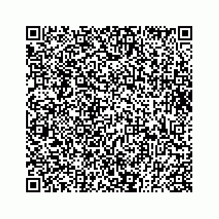 vCard 73833300009