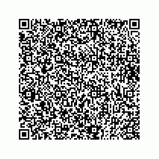 vCard 73833300019