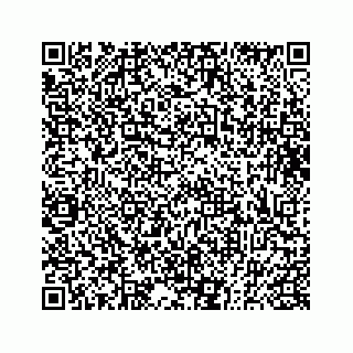 vCard 73833300020