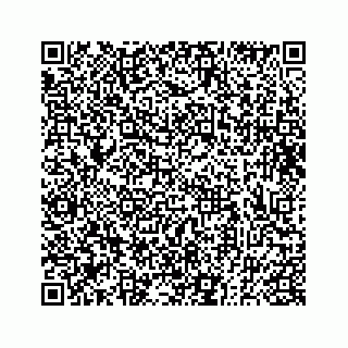 vCard 73833300028