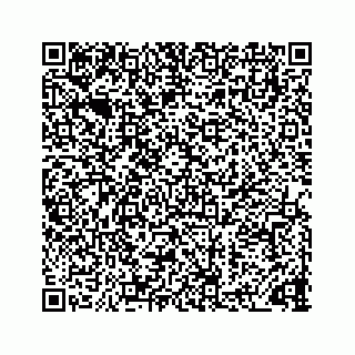 vCard 73833300032