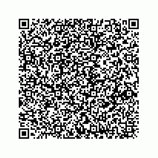 vCard 73833300033