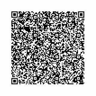 vCard 73833300035