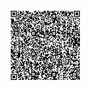 vCard 73833300041