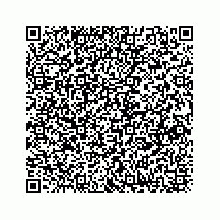 vCard 73833300049