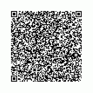 vCard 73833300055