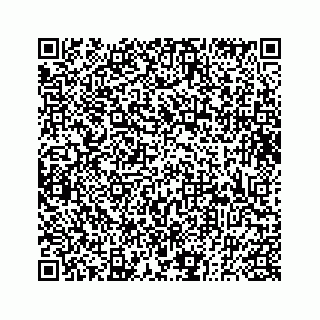 vCard 73833300081