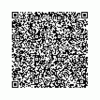vCard 73833300085