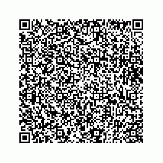 vCard 73833300088