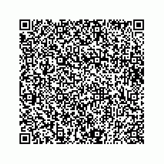 vCard 73833300089