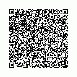 vCard 73833300099