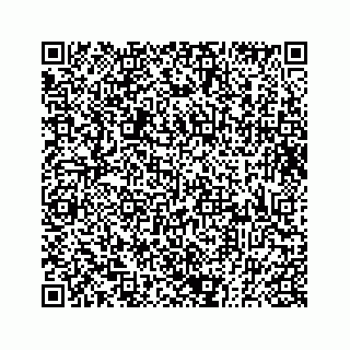 vCard 73833300119