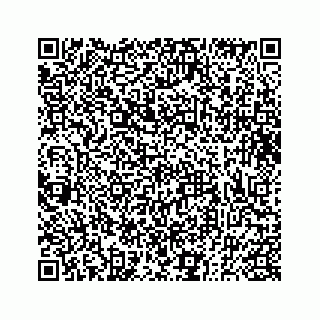 vCard 73833300131