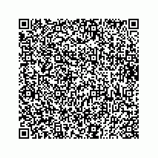vCard 73833300132