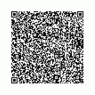 vCard 73833300133