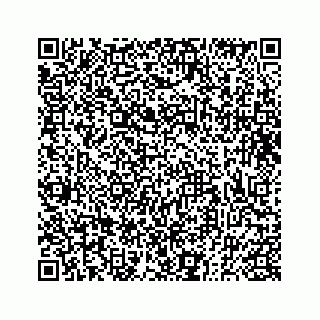 vCard 73833300138
