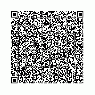 vCard 73833300139