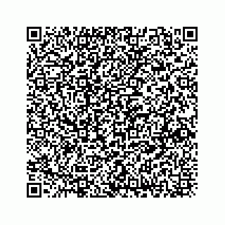 vCard 73833300140