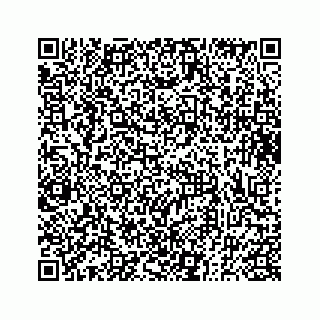 vCard 73833300153