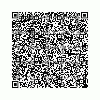 vCard 73833300178