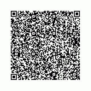 vCard 73833300179