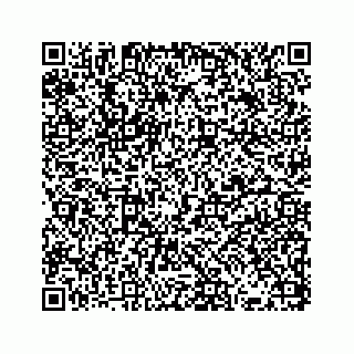 vCard 73833300194