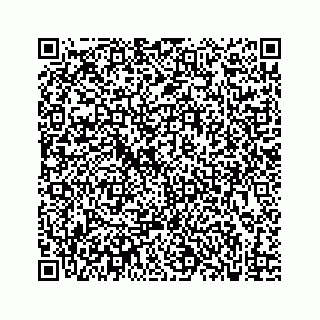vCard 73833300196