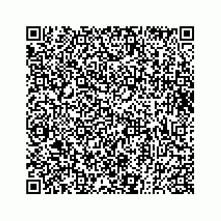 vCard 73833300199