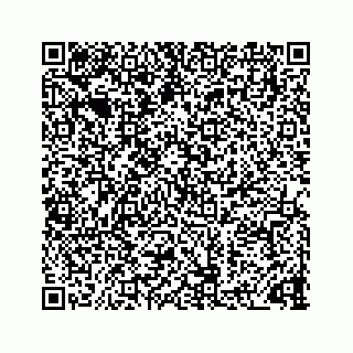 vCard 73833300200