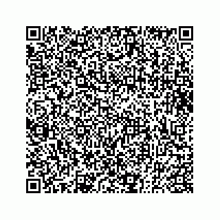 vCard 73833300201