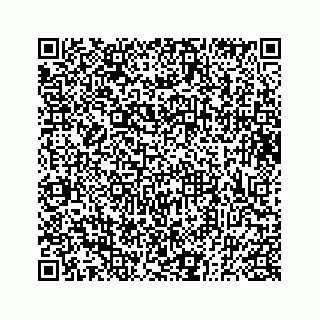 vCard 73833300202