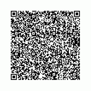vCard 73833300203