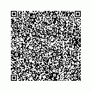 vCard 73833300205