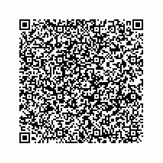 vCard 73833300206