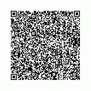 vCard 73833300207
