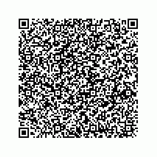 vCard 73833300208