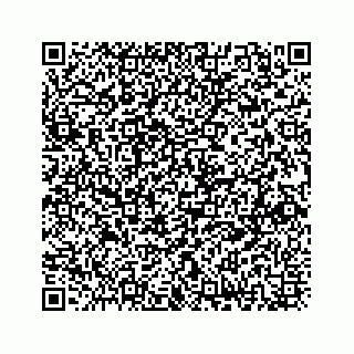 vCard 73833300209