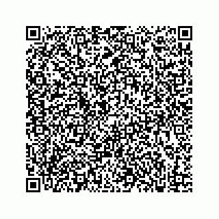 vCard 73833300211