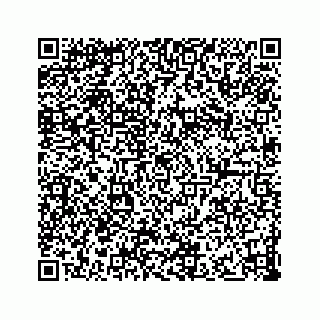 vCard 73833300222