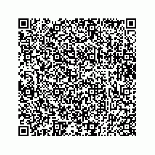 vCard 73833300231