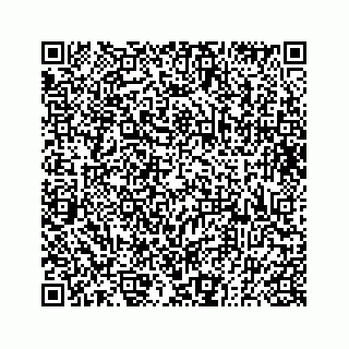 vCard 73833300234