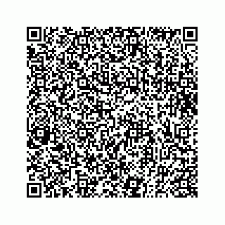vCard 73833300249