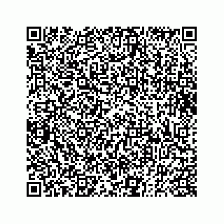 vCard 73833300251